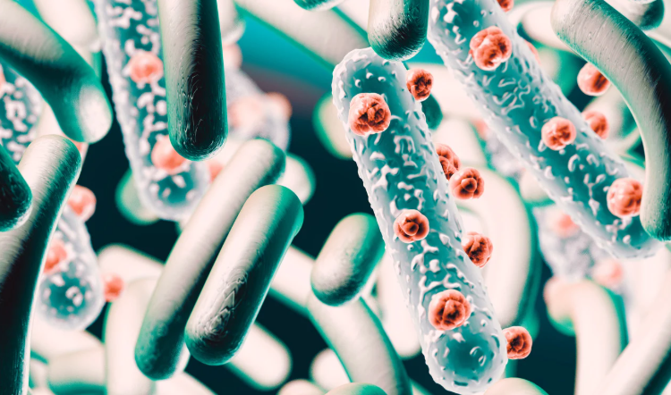 Rappresentazione 3D di batteri e microrganismi intestinali, con forme cilindriche e dettagli microscopici su sfondo verde, concetto di microbiota e salute digestiva. Microbiota