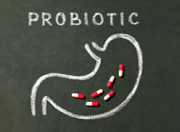 Lavagna con disegno stilizzato dello stomaco e la scritta “probiotici”, con capsule rosse e bianche all’interno, concetto di integratori per la salute digestiva.