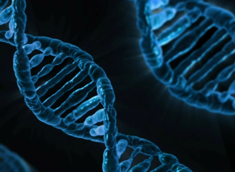 Nutraceutica. Filamenti di DNA umano in grafica digitale blu che rappresentano genetica, ricerca scientifica e biotecnologia.
