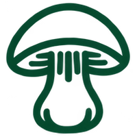 Funghi funzionali