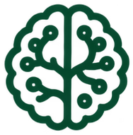 Cervello e nervi